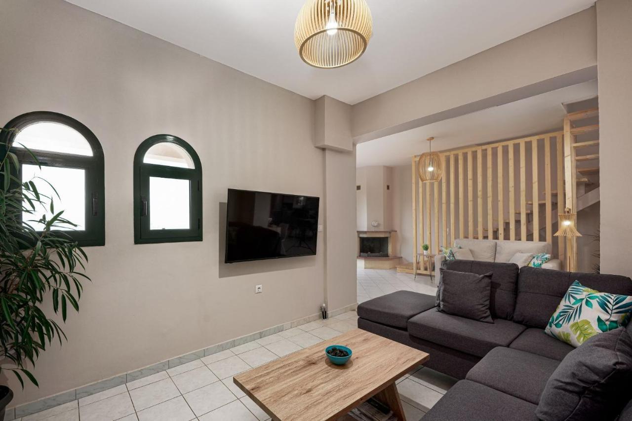 Andromeda Villa Vasilikí Dış mekan fotoğraf